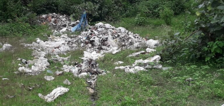 स्वच्छ भारत मिशन की धज्जियां उड़ाता ग्राम पंचायत भैयाथान
