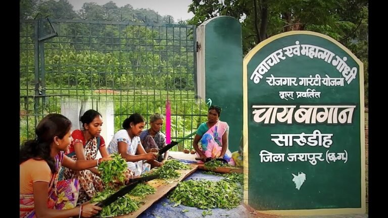 मुख्यमंत्री ने जशपुर के सारूडीह चाय बागान की मधु तिर्की को चाय की खेती के लिए किया प्रोत्साहित,’समावेशी विकास-आपकी आस’ विषय पर मुख्यमंत्री ने साझा किए अपने विचार विमर्श