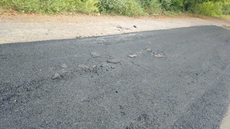 अम्बिकापुर की खस्ता हाल सड़कों पर लीपापोती का कार्य शुरू….