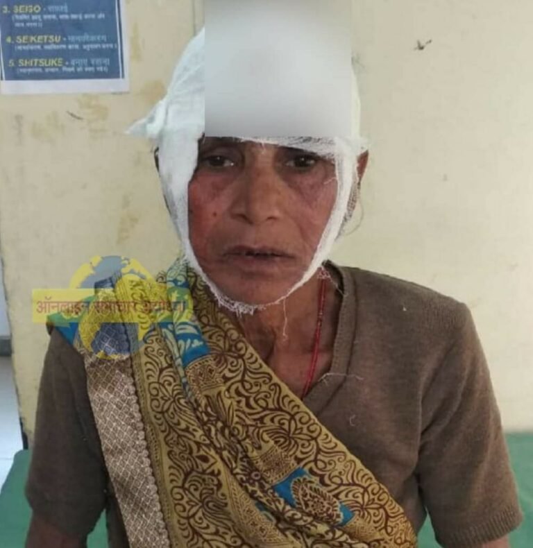 गुंडों की दबंगई एक वृद्ध महिला को जमकर पीटा,, घायल हालत में महिला पहुंची थाने,,पुलिस ने नहीं लिखी एफ आई आर…