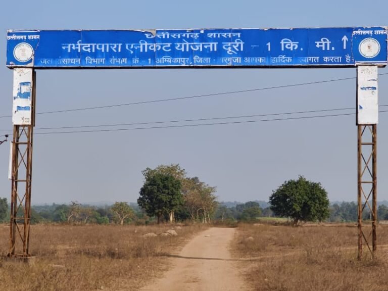 नरवा विकास से सिंचाई की सुविधा उपलब्ध होने से किसान खरीफ फसल के साथ मौसमी सब्जी के उत्पादन में ले रहे रूचि