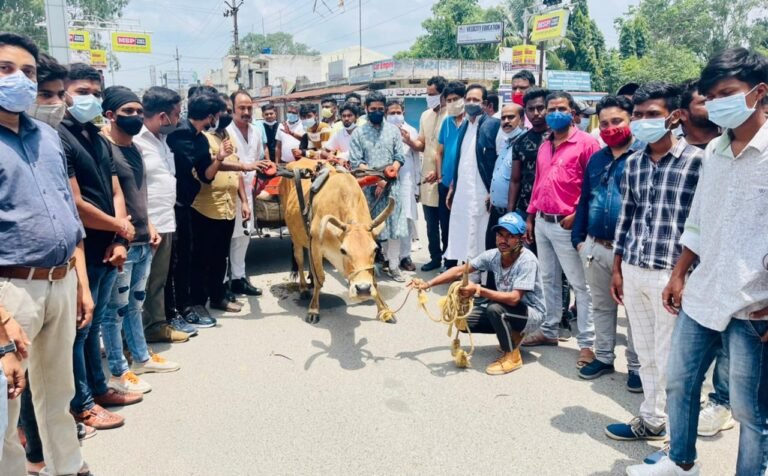 पेट्रोल डीजल के बढ़ते दाम के खिलाफ यूथ इंटक कांग्रेस द्वारा बैल गाड़ी चलाकर किया गया विरोध प्रदर्शन..
