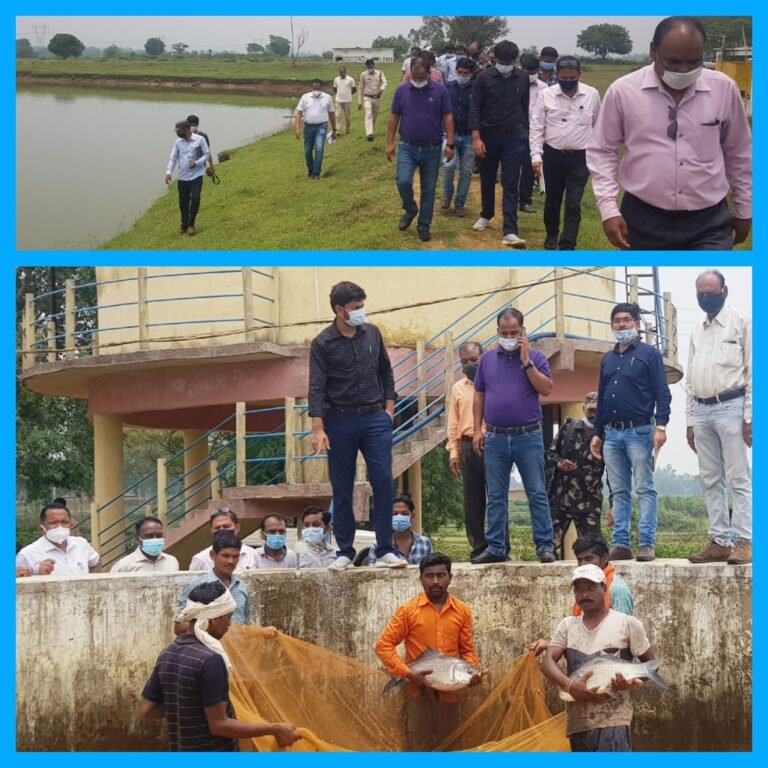 कलेक्टर डाॅ. गौरव कुमार सिंह ने बसदई मत्स्य बीज प्रक्षेत्र को दर्शनीय स्थल के रूप में विकसित करने दिए निर्देश