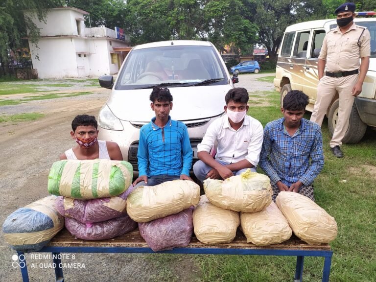 सीतापुर पुलिस की बड़ी कामयाबी अंतरराज्यकीय गांजा तस्कर को किया गिरफ्तार, 3 लाख का गांजा भी जप्त…