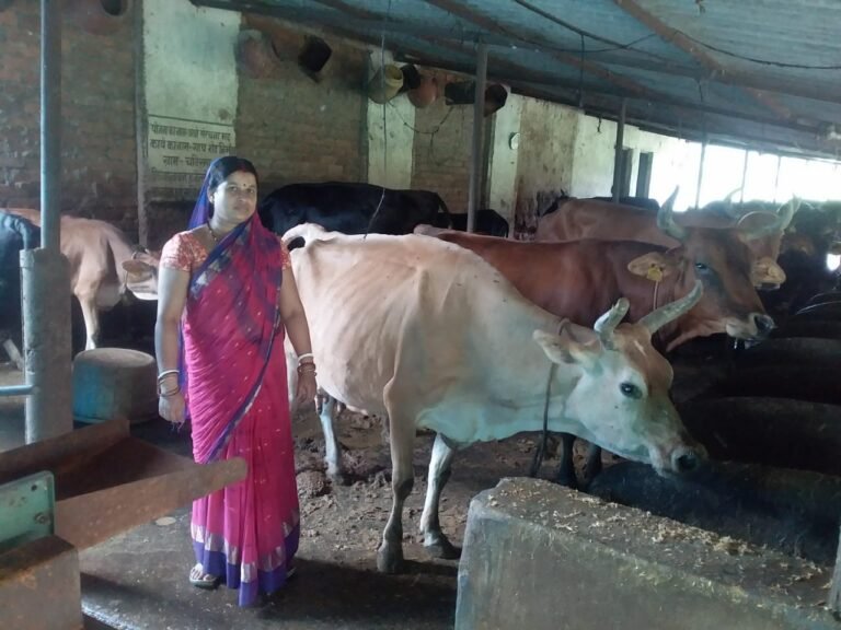 डेयरी उद्यमिता ने दिखाई कल्पना को आजीविका की नई राह, दूध उत्पादन से प्रतिमाह 40 हजार की हो रही कमाई