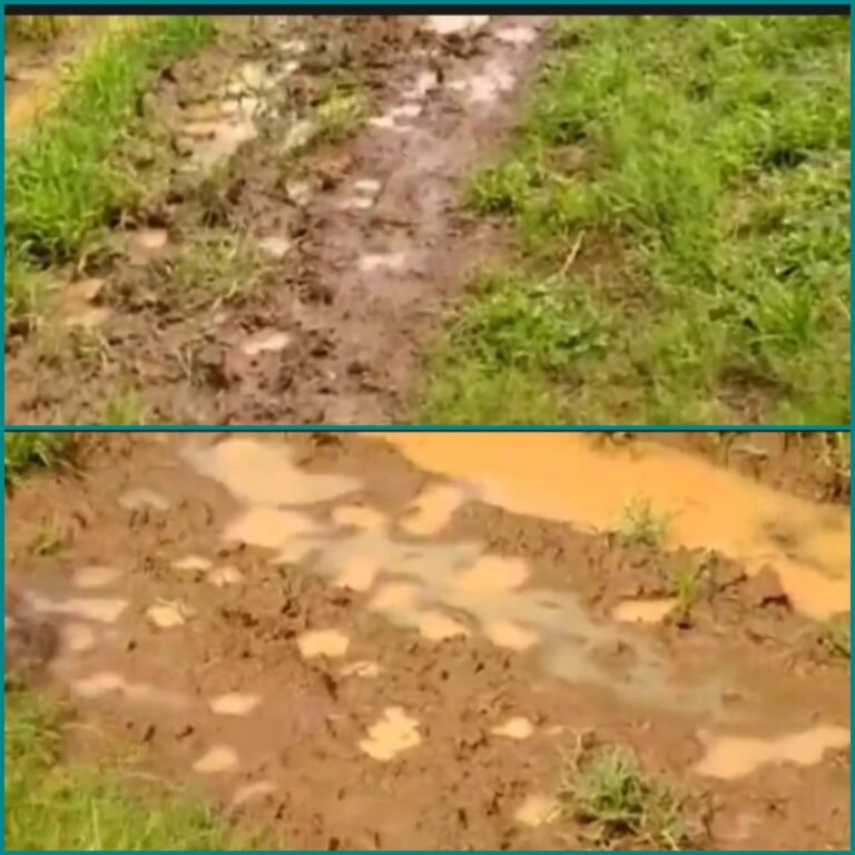 बारिश में जानलेवा बनी अस्करा की मनरेगा सड़क,किसी बड़ी दुर्घटना को दे रहा है आमंत्रण