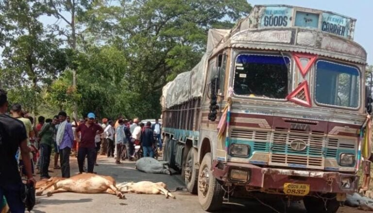 तेज रफ्तार ट्रक ने मवेशियों को रौंदा,,,10 गायों की मौत 2 घायल…