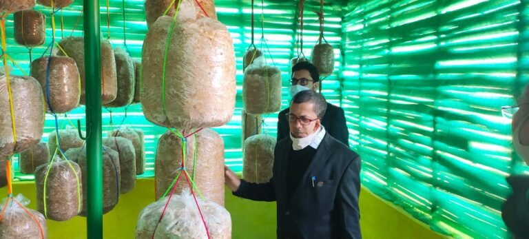 गोठान बन रहे रोजगार के केंद्र, ग्रामीण आजीविका केंद्र के रूप में हो रहे विकसित,,,कलेक्टर संजीव झा ने सोहगा गोठान का निरीक्षण दिए कई निर्देश…