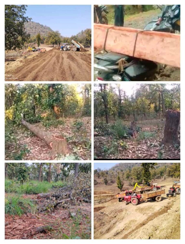 गुरु घासीदास राष्ट्रीय उद्यान में जंगलों की अवैध कटाई, गुरु घासीदास राष्ट्रीय उद्यान विभाग बना मुखदर्शक..
