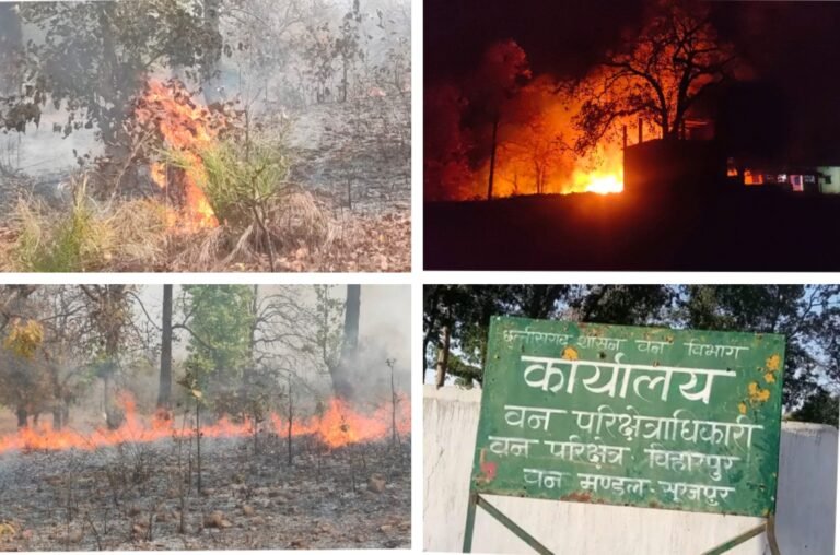 सुरजपुर : धधक रहे जंगल, हो रहे बर्बाद…वन विभाग की टीम अभी भी नहीं दे रहा इस पर कोई ध्यान …