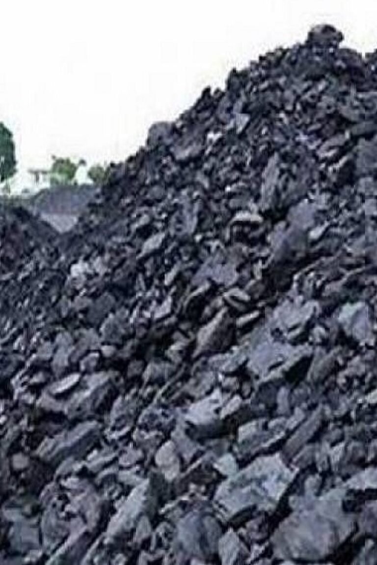 सूरजपुर : कोल माफियाओं के हौसले बुलंद पुलिस भी बनी मूकदर्शक….