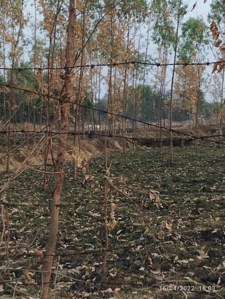 सूरजपुर : कलेक्टर के संरक्षण में पटवारी और तहसीलदार कर रहे नित नए घोटाले.!! नही दे रहे संरक्षण तो इतने बड़े घोटाले पर क्यों नही की कार्यवाही.??