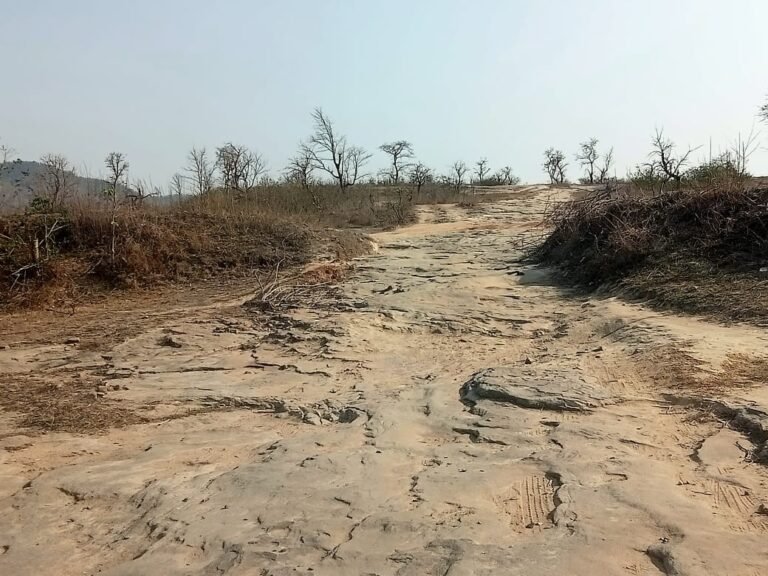 सूरजपुर : बिजली, पानी, सड़क के लिए मोहताज ग्राम पंचायत करी कुप्पी…