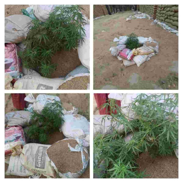 रामनगर धान संग्रहण केंद्र बना गांजा संग्रहण केन्द्र…..