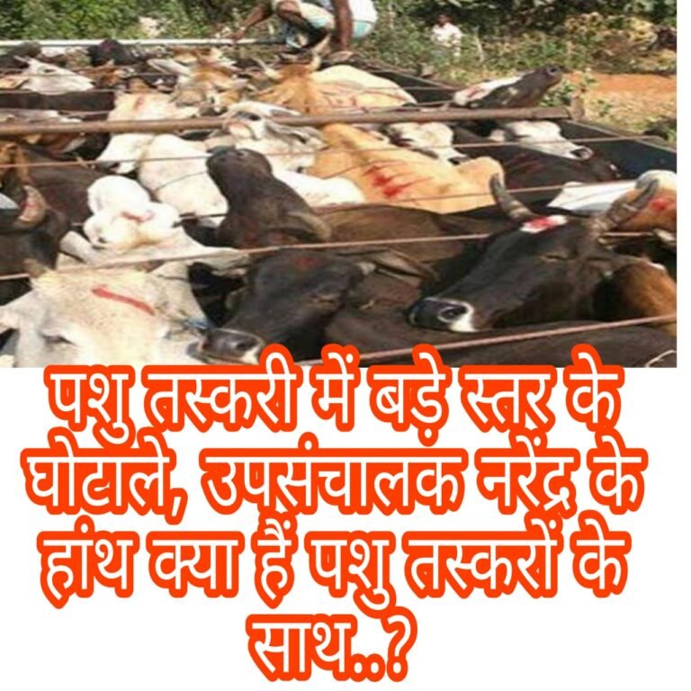 अम्बिकापुर : कलेक्टर सरगुजा के आंखों में धूल झोंक उप संचालक पशु विभाग ने पशु तस्करों को बनाया पशु व्यापारी…..