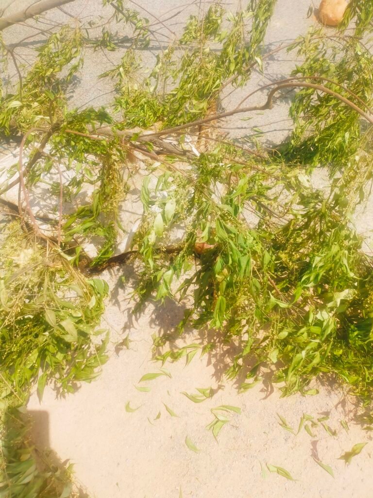 अम्बिकापुर : कमोदा विहार के पास बोरे में लाश मिलने से इलाके में फैली सनसनी….