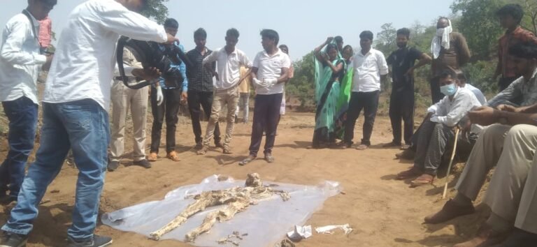 सूरजपुर : आखिरकार सोनी साहु की मां को मिला इंसाफ,, डेढ़ साल बाद मिला बेटी का शव….