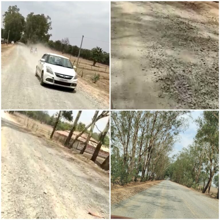 मैनपाट : सड़क निर्माण के नाम पर सड़कों को किया गड्ढों में तब्दील, वाहन से तो दूर पैदल तक चलना हुआ दुभर..