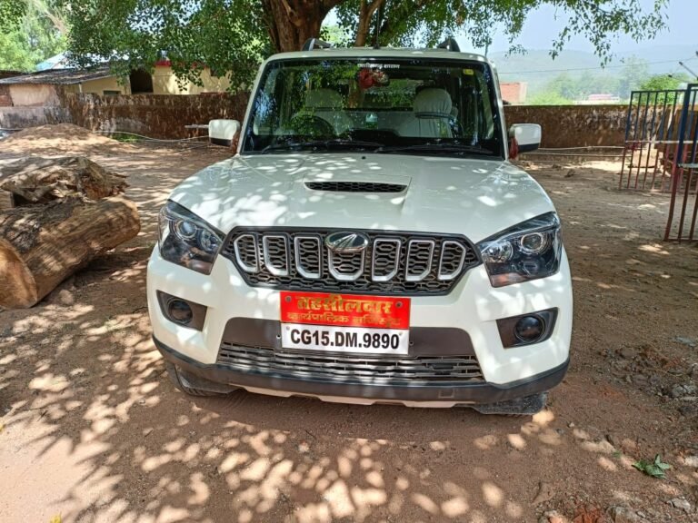 प्रशासनिक आदेश की उड़ी धज्जियाँ, कलेक्टर के आदेश के बावजूद तहसीलदार ने अब तक नहीं सौंपा पदभार…