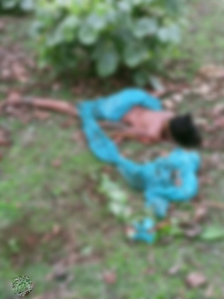 प्यारे हाथी से मुठभेड़ में 50 वर्षीय महिला की दर्दनाक मौत…