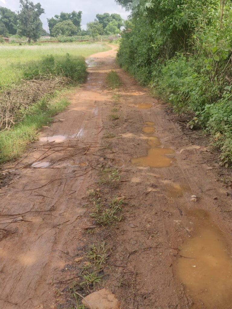 आजादी के वर्षों बाद भी पहुंच मार्ग की बाट जोह रहा ग्राम पंचायत केवरा का बिजाडांड मोहल्ला…