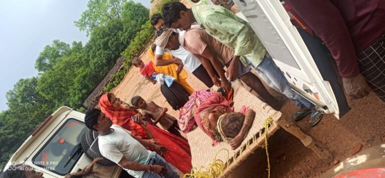 डोरी बिनने जंगल गई महिला पर भालू ने किया हमला, हालत गंभीर…