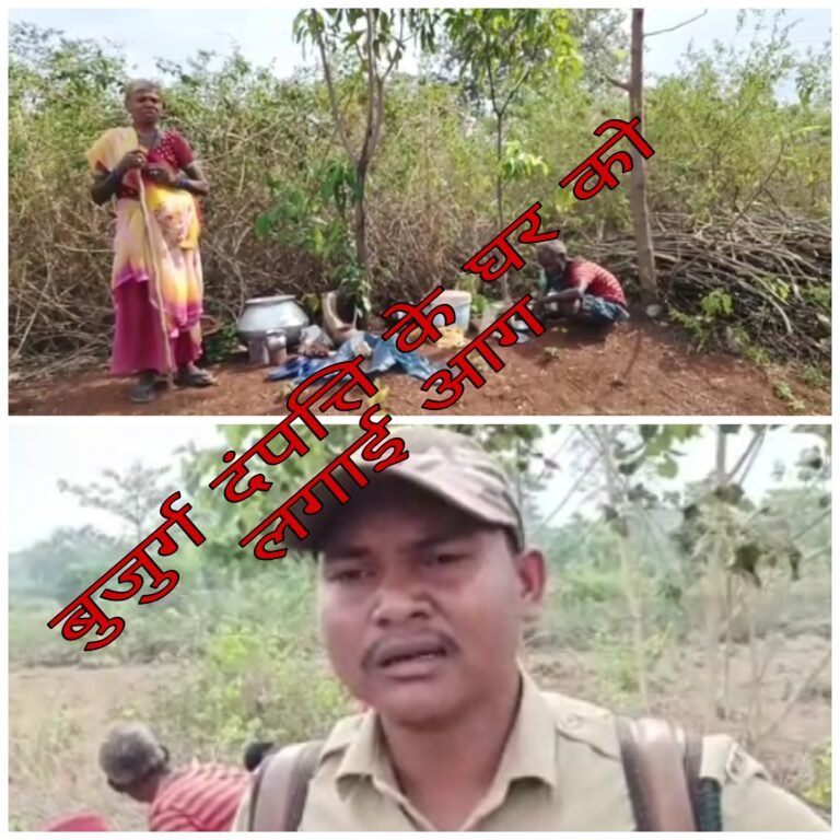 एसडीओ, रेंजर के ऑर्डर से बीटगार्ड ने गरीब बुजुर्ग दंपति के घर में लगाई आग, मानव अधिकार आयोग तक पहुंचा मामला…