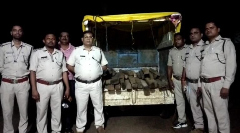 वन विभाग की टीम ने 33 नग साल की लकड़ी के साथ छोटा हाथी वाहन किया जप्त