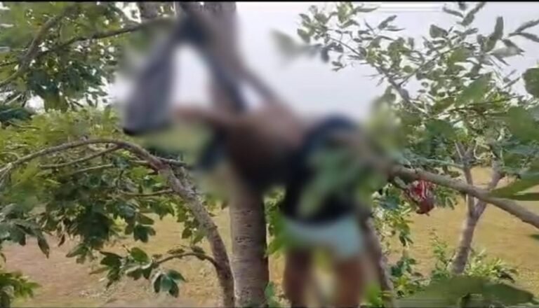 मानसिक रोगी ने की 10 माह के अपने बेटे की हत्या…