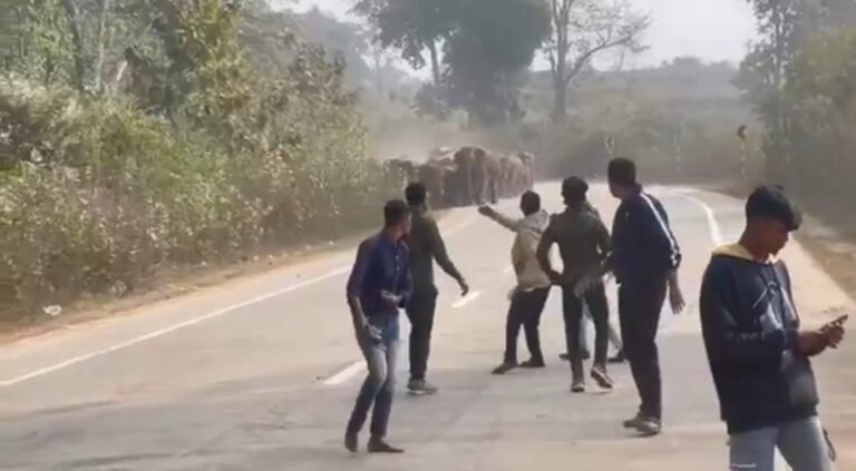 शहर के करीब पहुंचा 27 हाथियों का दल…