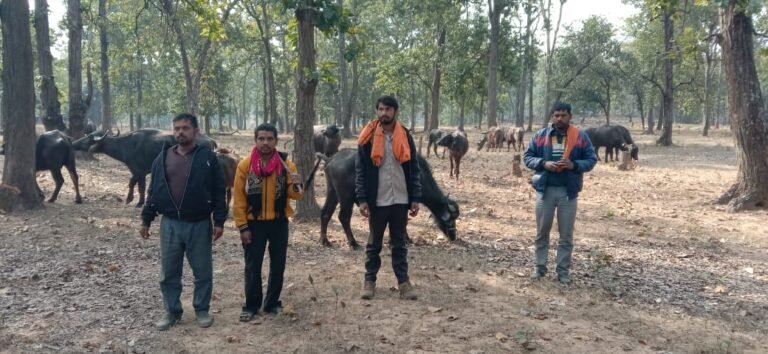 अवैध पशु तस्करी मामले में 4 आरोपी गिरफ्तार..