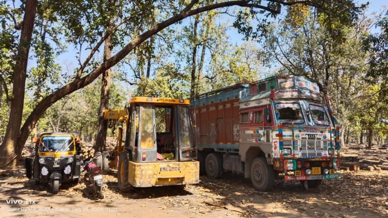 वन विभाग की बड़ी कार्यवाही, बड़ी संख्या में लकड़ी समेत वाहन जब्त…