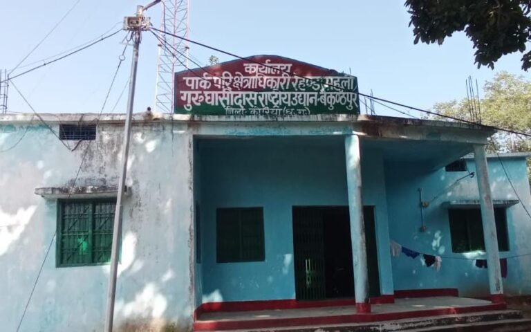 हसदेव जंगल के तर्ज पर रेहण्ड जंगल में पेड़ों की दी गई बलि.. रेंजर पर क्यों नहीं हो रही कार्रवाई..?