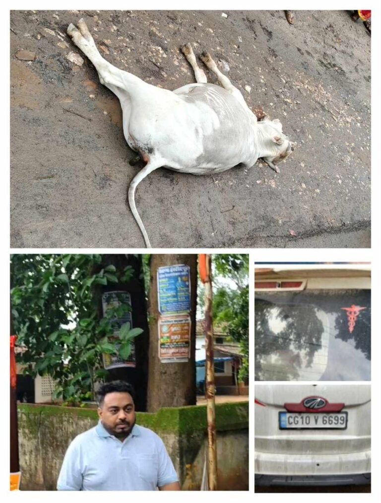 शराबी डॉक्टर ने लापरवाहीपूर्वक गाड़ी चलाते हुए बैल की ली जान, हादसे के बाद मौजूद ग्रामीणों से की गालीगलौज…