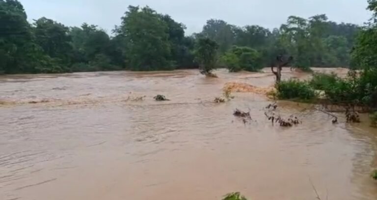 2 दिन की बारिश से बड़ा नदी–नालों का जलस्तर, दो महिलाएं और दो बच्चे नदी पार करते वक्त बहे, तलाश जारी…