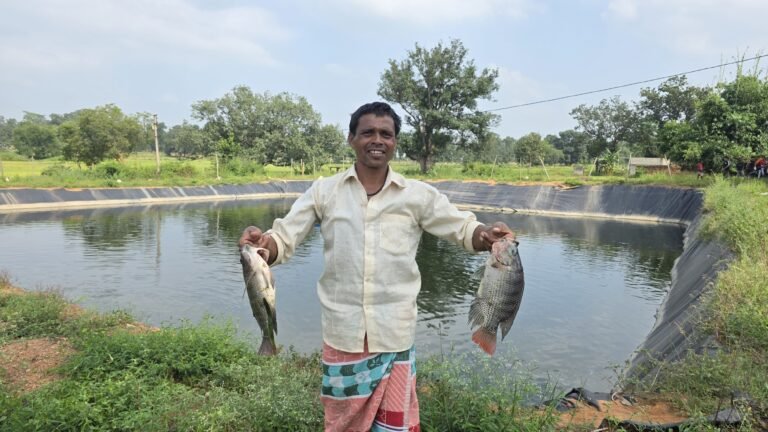प्रधानमंत्री मत्स्य संपदा योजना : ग्रामीण अंचलों में मत्स्य पालन से आजीविका एवं आत्मनिर्भरता के लिए नया अवसर…