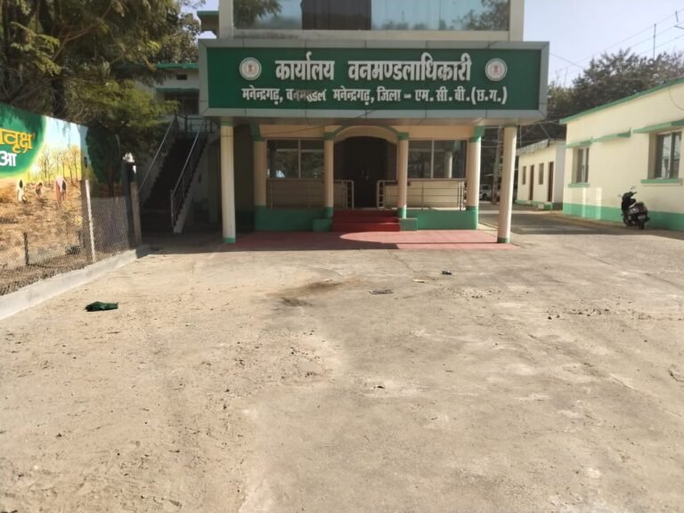 वन मंडल मनेंद्रगढ़ कार्यालय में वर्षों से जमे कर्मचारी, शासन की कार्यशैली पर उठे सवाल…