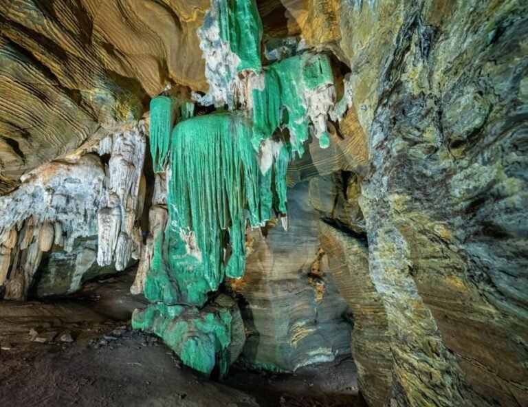 छत्तीसगढ़ में मिली नई ग्रीन केव/ गुफा,, पर्यटन के क्षेत्र में नई उपलब्धि…