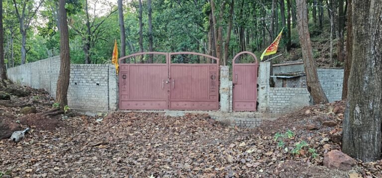 भू-राजस्व पट्टा धांधली: सरगुजा संभाग कमिश्नर ने खारिज की पुनरीक्षण याचिका; तहसीलदार पिता संजीत पाण्डेय के रसूख से दूसरे की जमीन अपने नाम कराने का मामला उजागर…