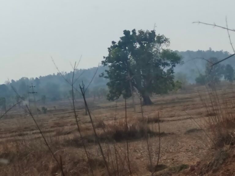 वाड्रफनगर के जंगलों में धधक रही आग: कुंभकरणी नींद में सोया वन विभाग, राम नारायण राम की चुप्पी पर उठे सवाल…