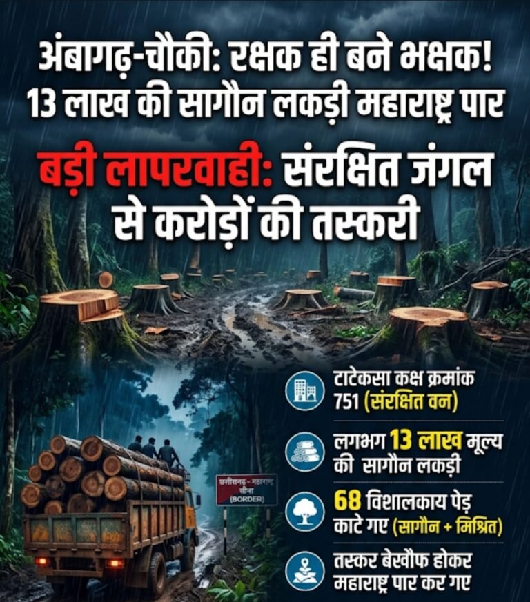 रक्षक ही बने भक्षक! 13 लाख की सागौन लकड़ी महाराष्ट्र पार, डिप्टी रेंजर और बीट गार्ड निलंबित…