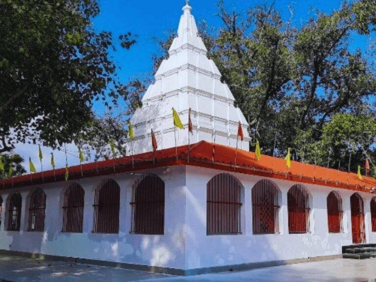मां महामाया मंदिर के प्रसाद में भारी मिलावट का खुलासा, सेहत के लिए ‘असुरक्षित’ पाए गए लड्डू…