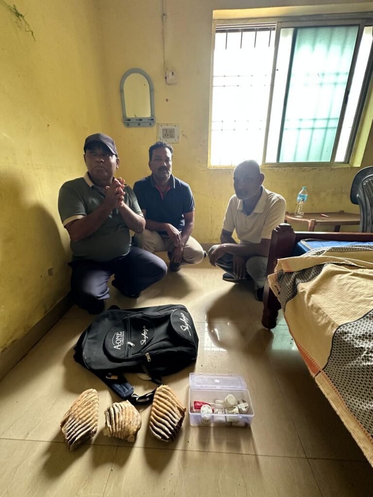 वन विभाग की बड़ी कार्रवाई: अंतरराज्यीय हाथी दांत तस्कर गिरोह का भंडाफोड़, हाथी दांत (जबड़े) के साथ 3 आरोपी गिरफ्तार…
